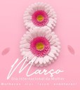 Feliz Dia Internacional da Mulher Feliz Dia Internacional da Mulher